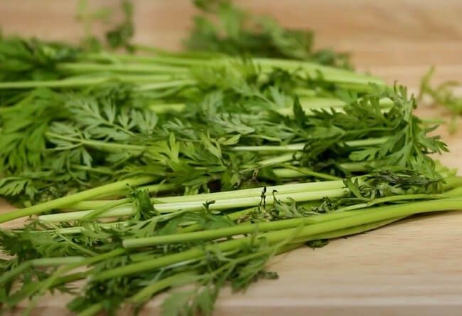 Carrot Greens