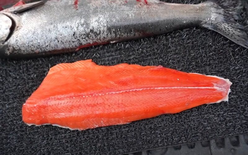 Fresh King salmon