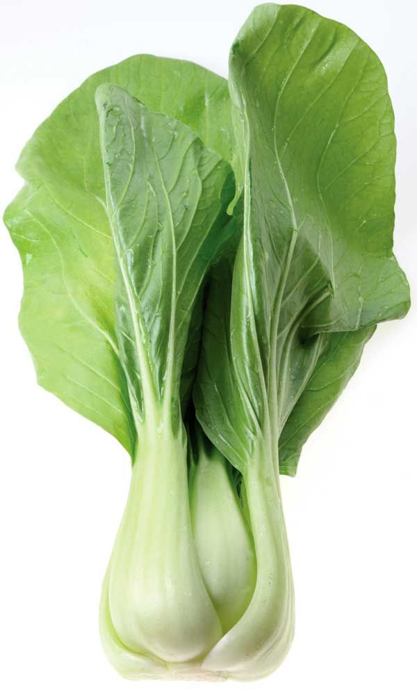 How-To-Cut-Bok-Choy-Step-By-Step