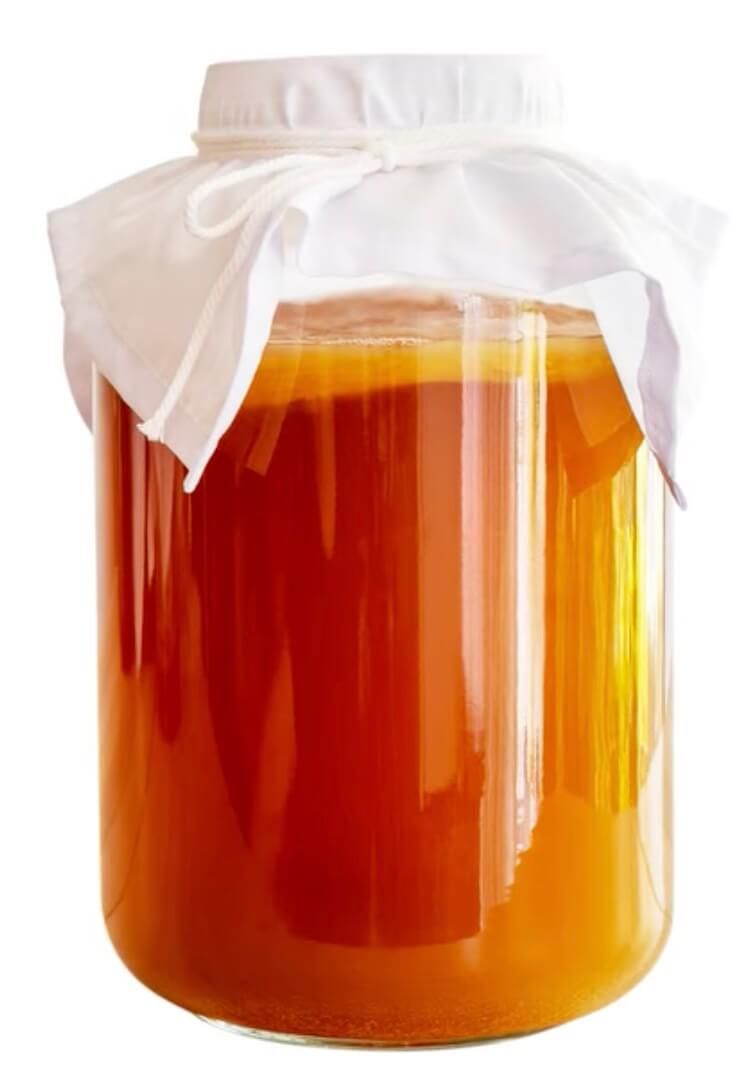 Kombucha