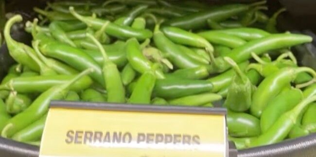 Serrano Pepper