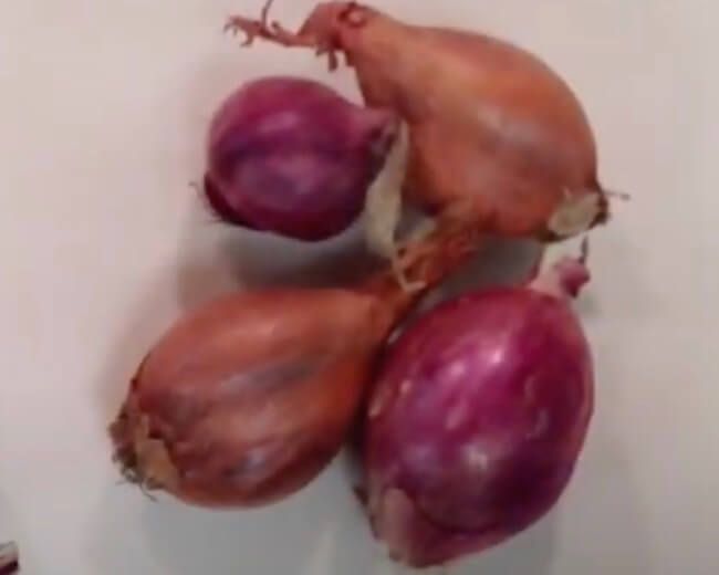 Shallots