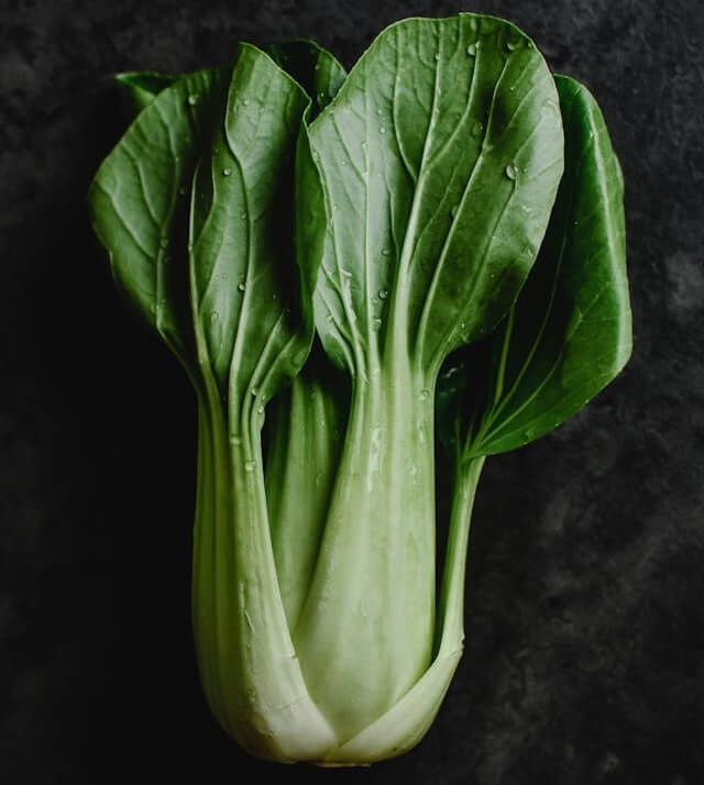 The Chinese Cabbage