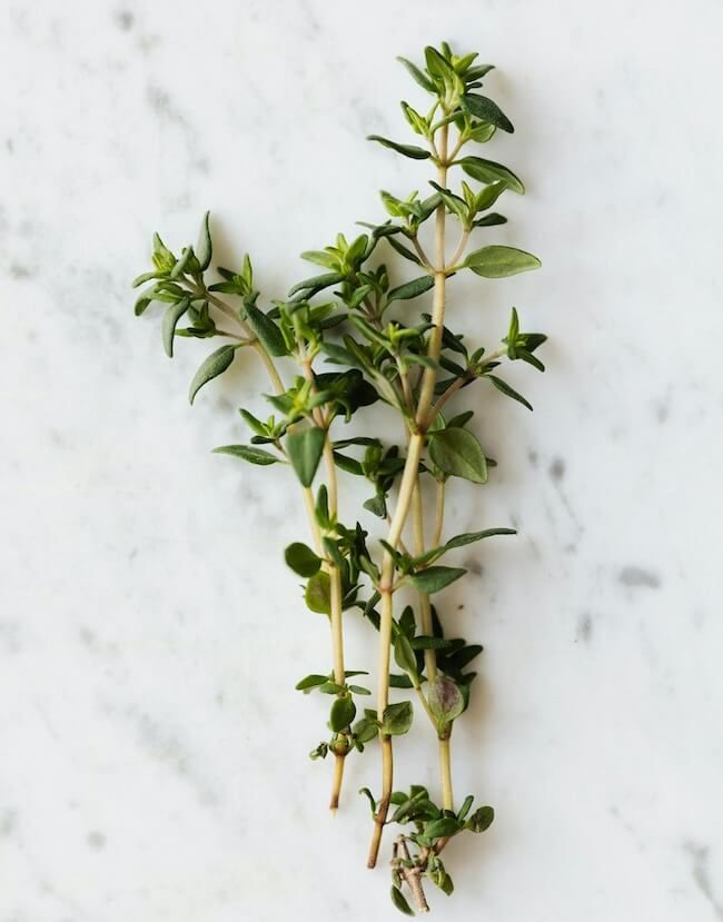 Thyme