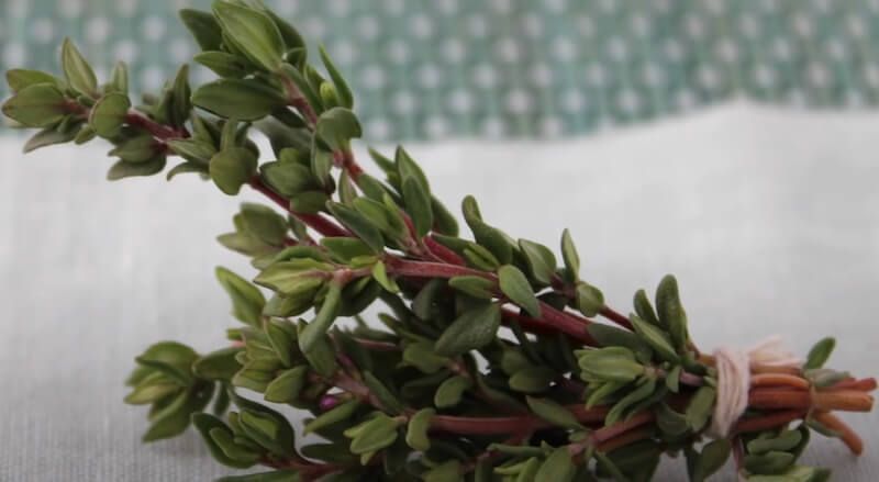 Thyme herb