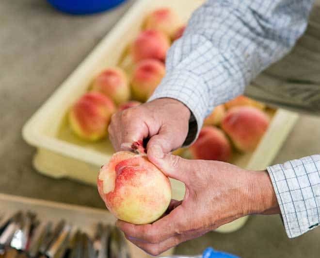 Unique-Peach-Skin-Syrup