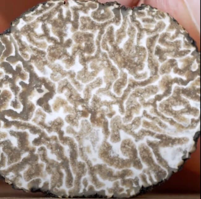 Use Black Truffle Oil 