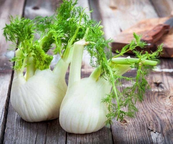 What-Is-Fennel
