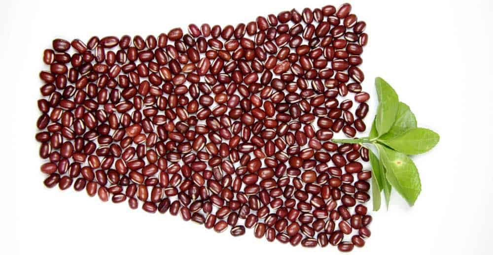 Why-Should-You-Eat-Beans