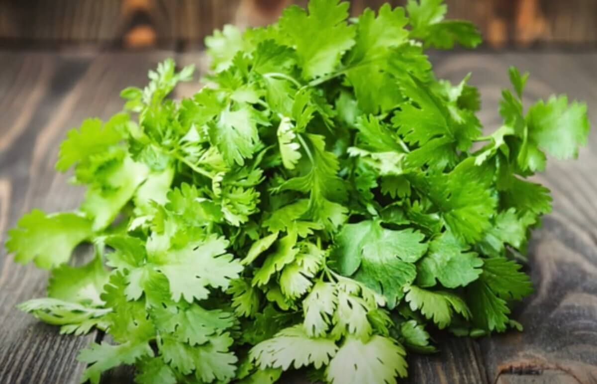 best substitute for cilantro in salsa