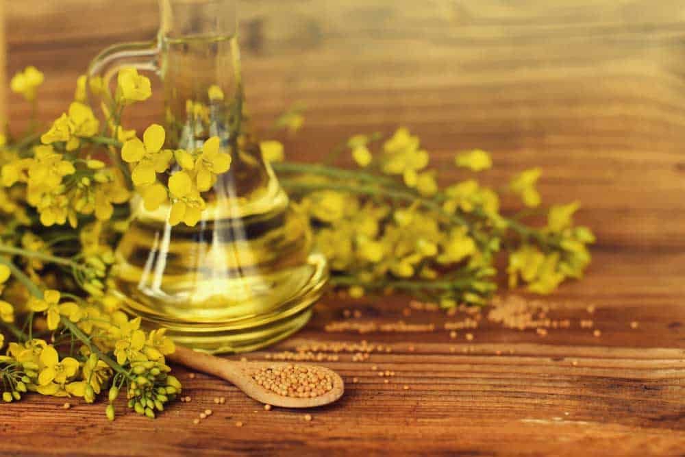 canola-oil-vegetable-oil-made-from