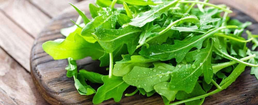 escarole-substitute-arugula