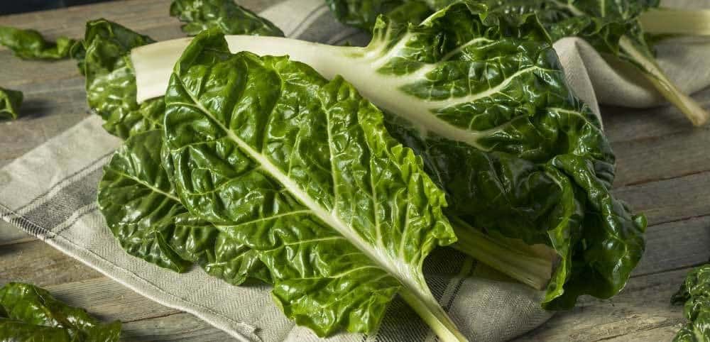escarole-substitute-chard