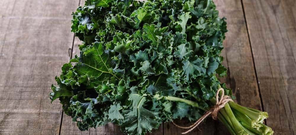 escarole-substitute-kale