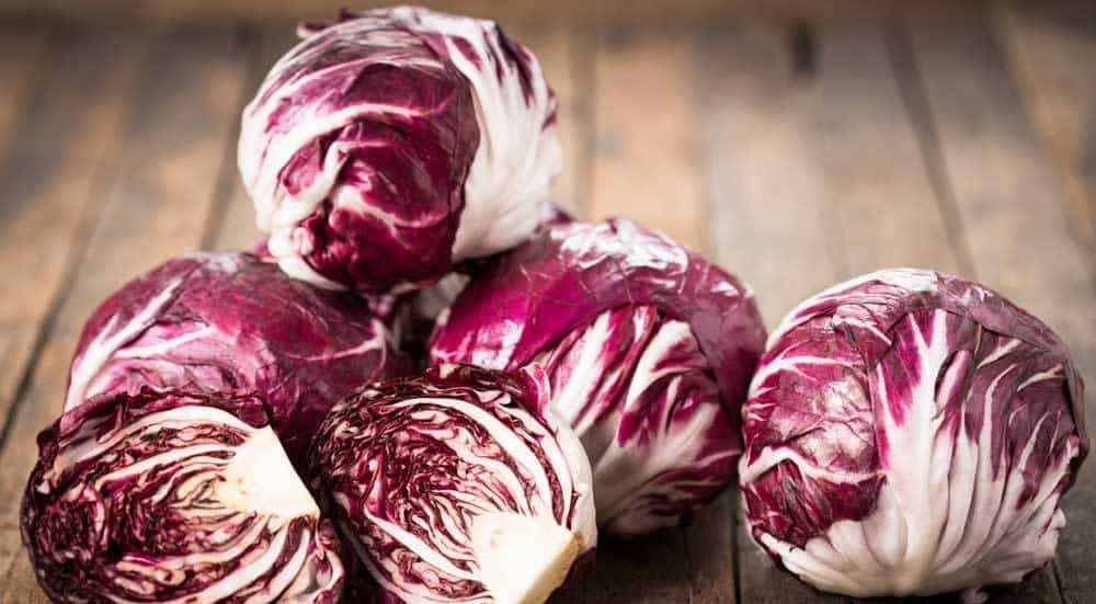 escarole-substitute-radicchio