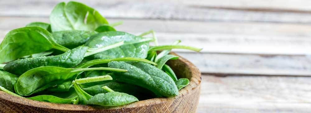 escarole-substitute-spinach