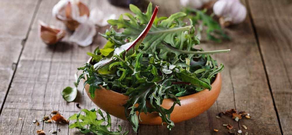 escarole-substitutes