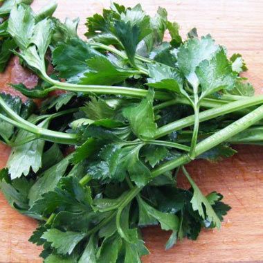 celery-leaves