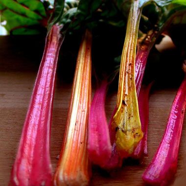 etnt-scraps-chard-stalks