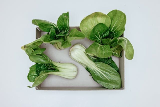 fennel-substitute-Bok-Choy