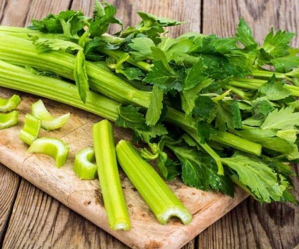 fennel-substitute-Celery