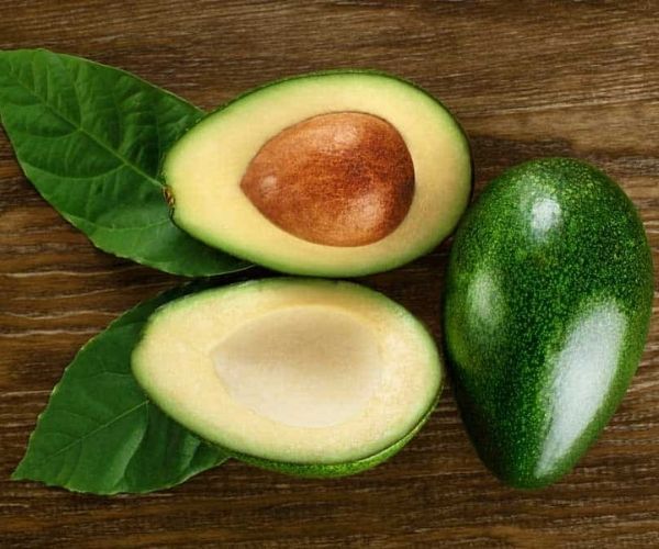 fennel-substitute-Mexican-Avocado-Leaves