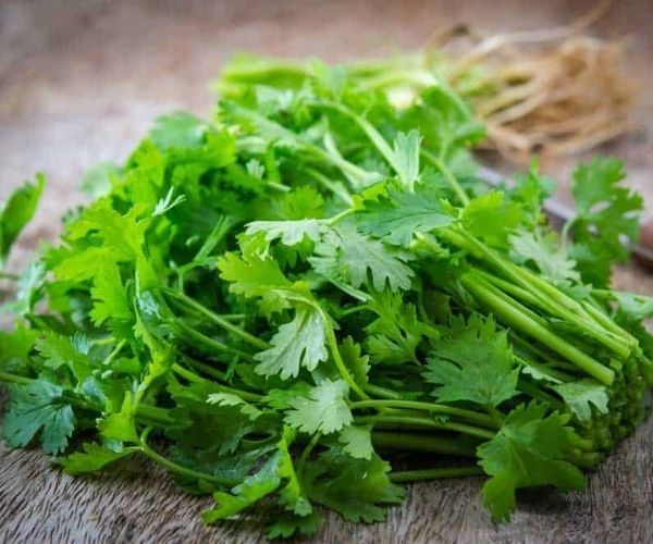 fennel-substitute-Parsley