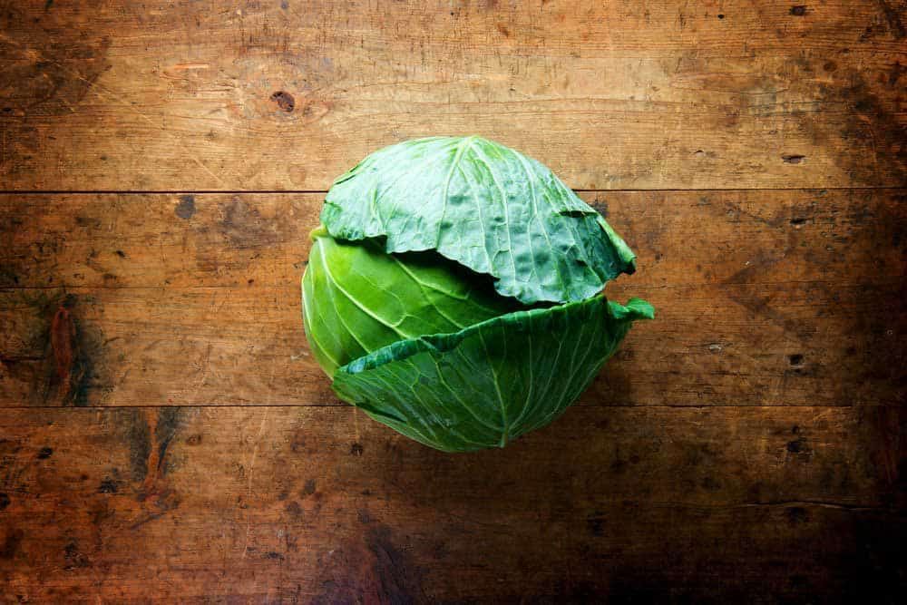 fresh-harvested-cabbage