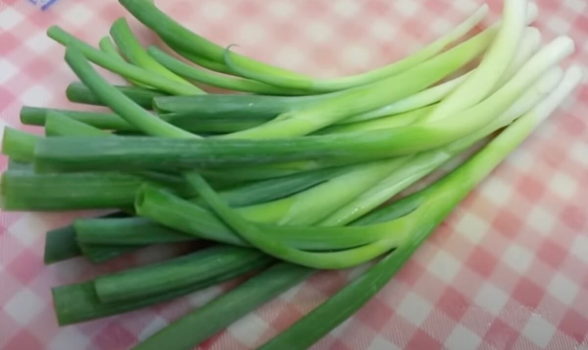 green onion substitute