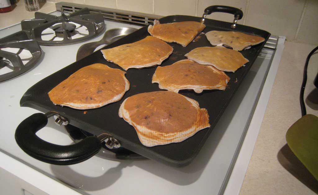 griddle-3