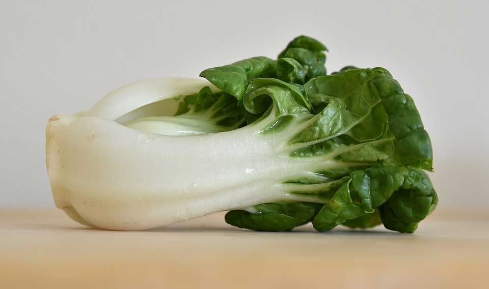 how-to-cut-bok-choy-King-of-Cabbages