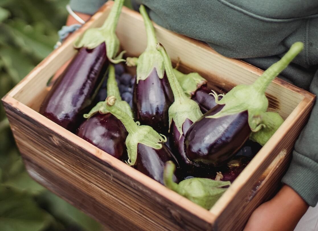 how to tell if eggplant is bad?