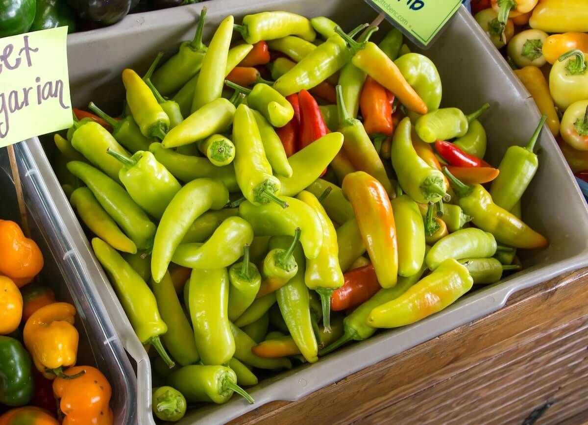 pepperoncini vs. banana pepper