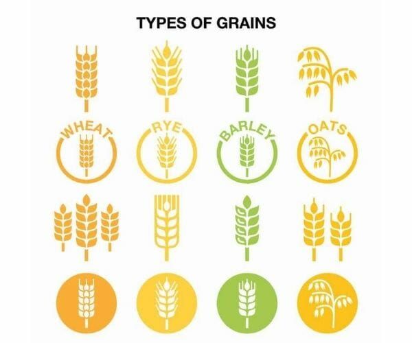 types-of-grains