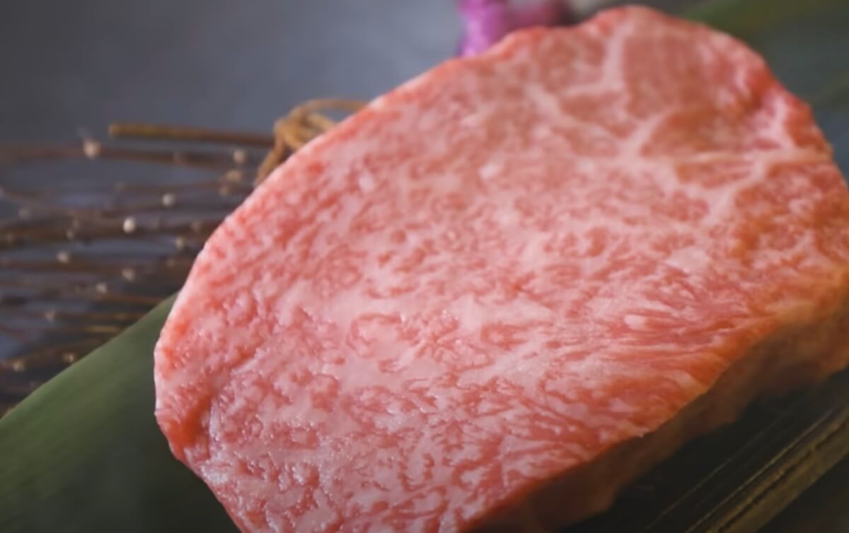 wagyu beef