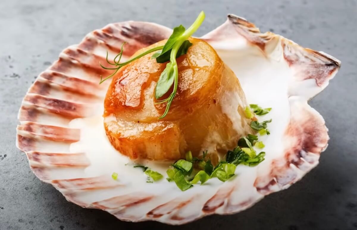 what do scallops taste like?
