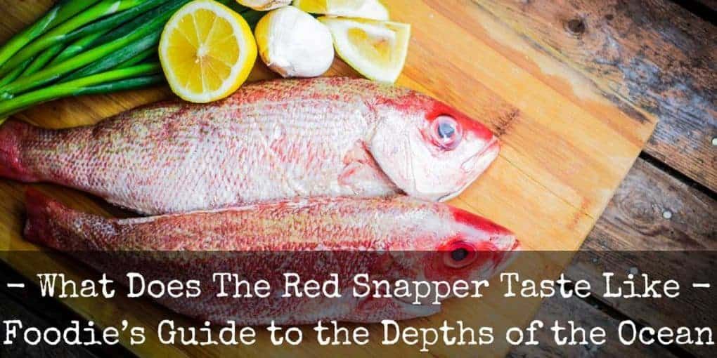 what does the red snapper taste like