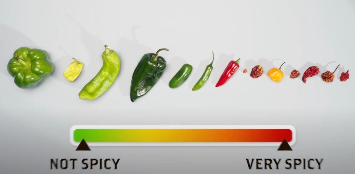 what is the pepper scoville scale?